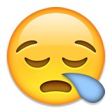 Sick or blowing nose emoji