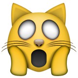 Scared cat emoji