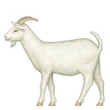 Goat with full body emoji