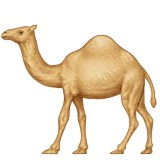 Camel with one hump emoji
