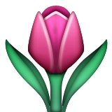 Pink tulip emoji