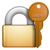 Locked padlock with key emoji